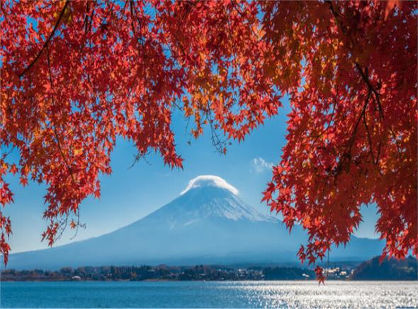 Du lịch Nhật Bản Mùa Thu 2022: Hà Nội -Osaka-Kyoto-Phú Sĩ-Tokyo 6 ngày 5 đêm